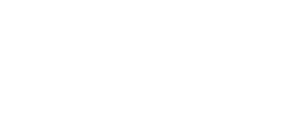 Logo Feelness