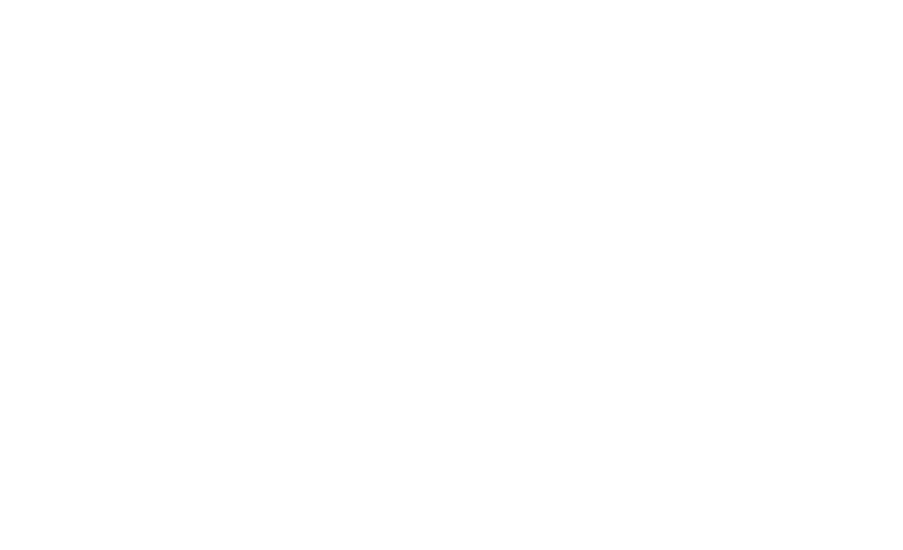 Logo Kaindl